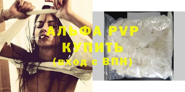 стаф Белокуриха