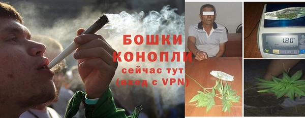 ГАЛЛЮЦИНОГЕННЫЕ ГРИБЫ Беломорск