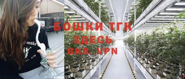 стаф Белокуриха