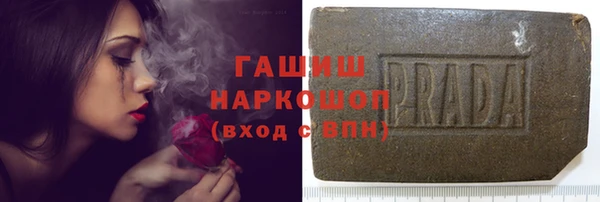 стаф Белокуриха