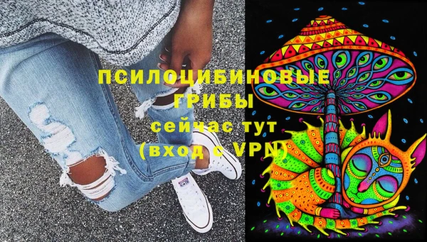 стаф Белокуриха