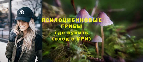 стаф Белокуриха