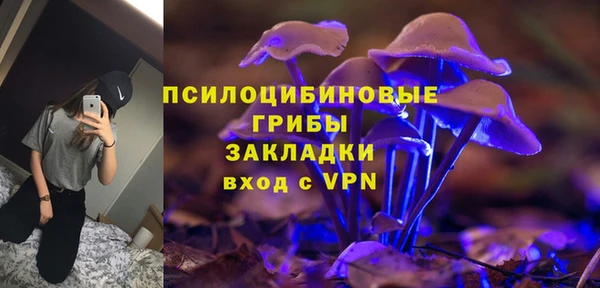 ГАЛЛЮЦИНОГЕННЫЕ ГРИБЫ Беломорск