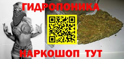 стаф Камышлов