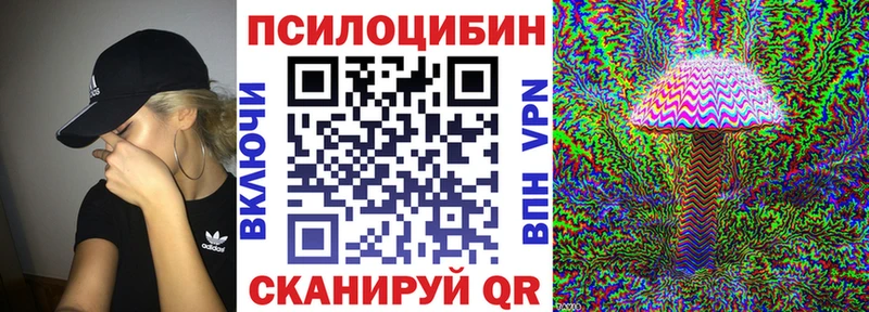 Псилоцибиновые грибы Psilocybine cubensis Славгород