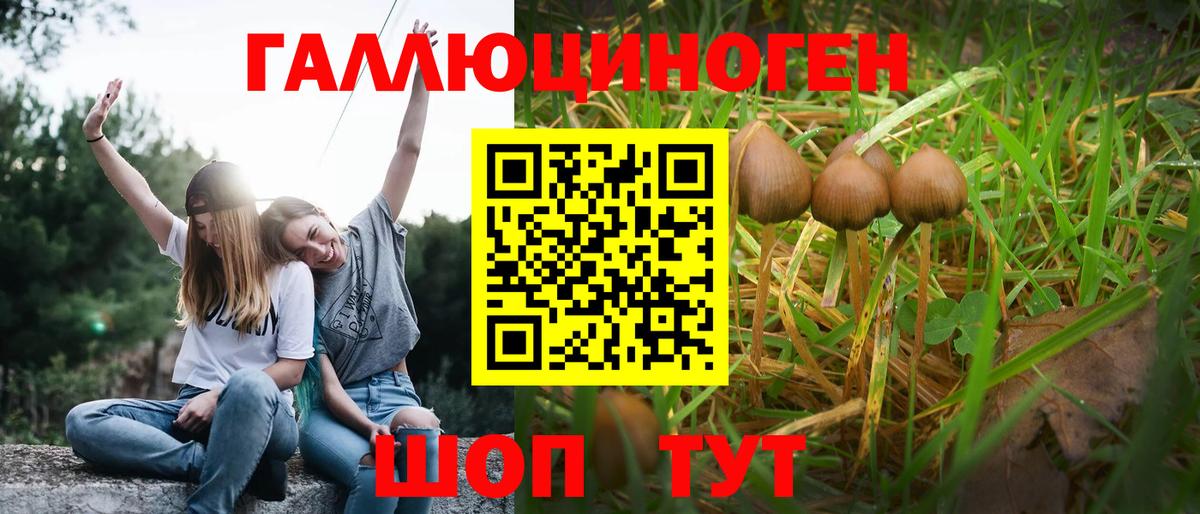 Галлюциногенные грибы Psilocybine cubensis  купить наркотик  Славгород  Галлюциногенные грибы Psilocybe  Вход с VPN 